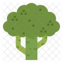 Fresh Vegan Broccoli Icon