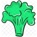 Vegetable Food Cauliflower Icon