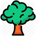 Spring Broccoli Tree Icon