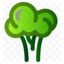 Broccoli  Icon