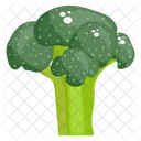 Broccoli Vegetable Healthy Food Icon