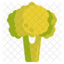 Broccoli Cauliflower Vegetable Icon