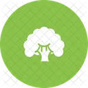 Broccoli Vegetable Fibre Icon