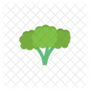 Broccoli Food Vegetable Icon