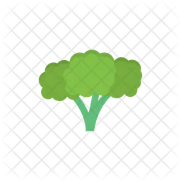 Broccoli  Icon