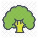 Broccoli Vegetable Fibre Icon