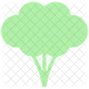 Broccoli Green Flower Eating Icon