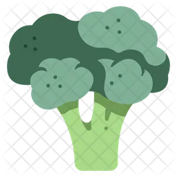 Broccoli  Icon