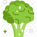 Broccoli Vegetable Vegetarian Icon