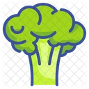 Broccoli Fruit Food Icon