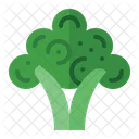 Broccoli Health Vegetarian Icon