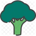 Broccoli Cabbage Cauliflower Icon