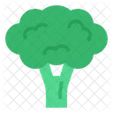 Broccoli Vegetables Supermarket Icon
