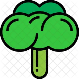 Broccoli  Icon