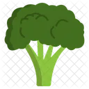 Broccoli  Icon
