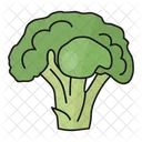 Broccoli Salad Cabbage Icon