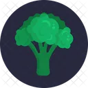 Salad Broccoli Healthy Icon