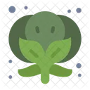 Broccoli Food Vegetable Icon