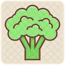 Broccoli Salad Vegetable Icon