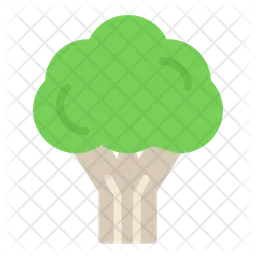 Broccoli  Icon