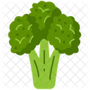 Broccoli Nutrition Gastronomy Icon