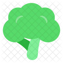 Broccoli  Icon