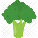 Broccoli Cauliflower Vegetables Icon