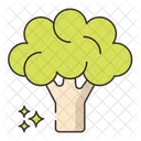 Broccoli Vegan Vegetarian Icons Vegan Icon