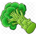 Broccoli Fresh Healthy Icon