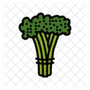 Broccoli Icône