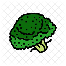 Broccoli  Icon