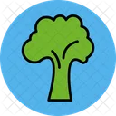 Broccoli Healthy Ingredient Icon