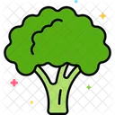 Broccoli Food Healthy Icon