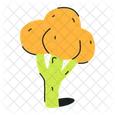 Brassica Oleracea Broccoli Cruciferous Vegetable Icon