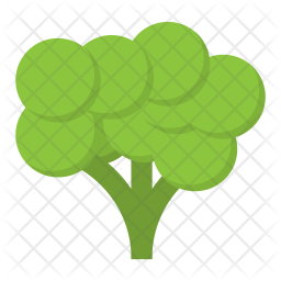 Broccoli Icon