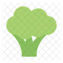 Broccoli Green Vegetable Icon