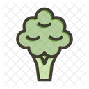 Broccoli  아이콘