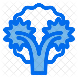 Broccoli  Icon