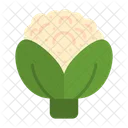 Broccoli Cauliflower Cauliflower Nutrition Icon
