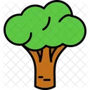 Broccoli Vegetable Food Icon
