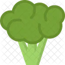 Broccoli Cucina Cibo Icon