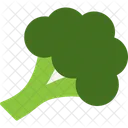 Broccoli Food Healthy Icon