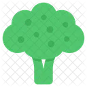 Broccoli  Icon