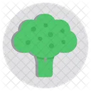 Broccoli  Icon