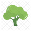 Broccoli  Icon