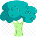 Broccoli  Icon