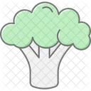 Broccoli Green Vegetable Icon