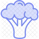 Broccoli Green Vegetable Icon