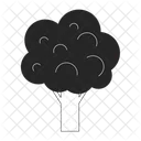 Broccoli  Icon