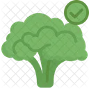 Broccoli  Icon